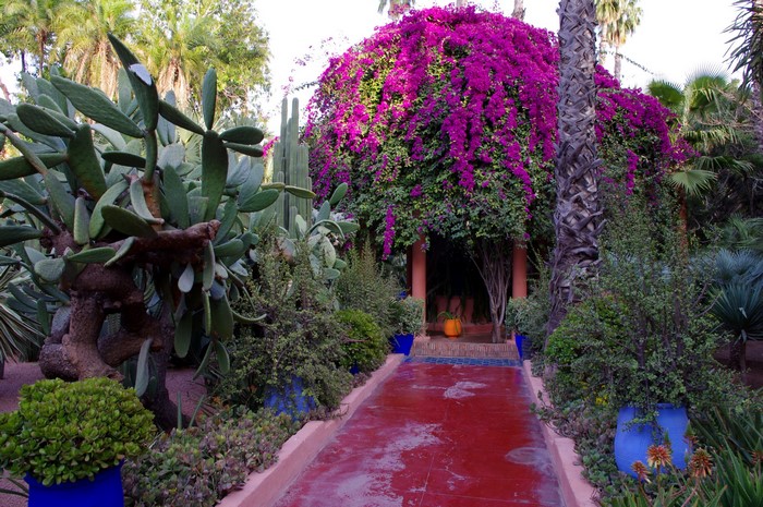 Jardin Majorelle, Morocco