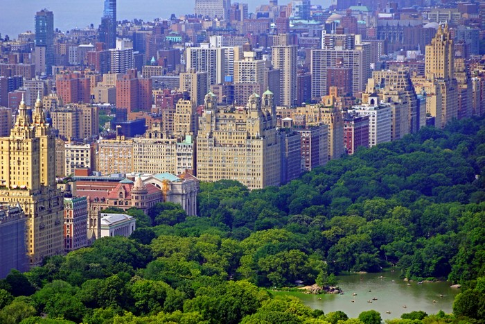 New York City skyline overlooking Central Park