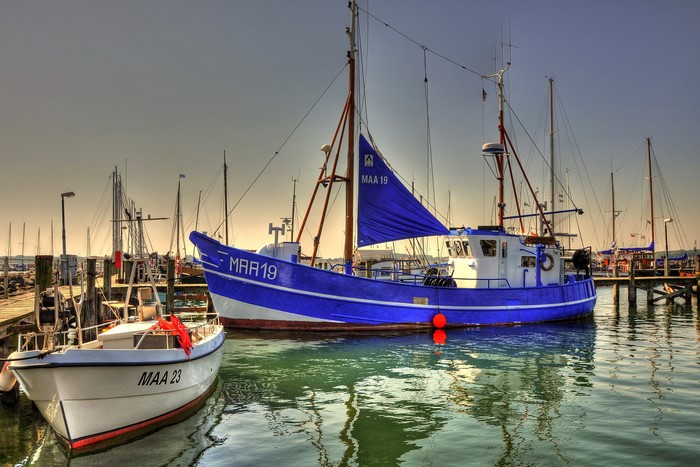 Fishing boats docked in a harbor