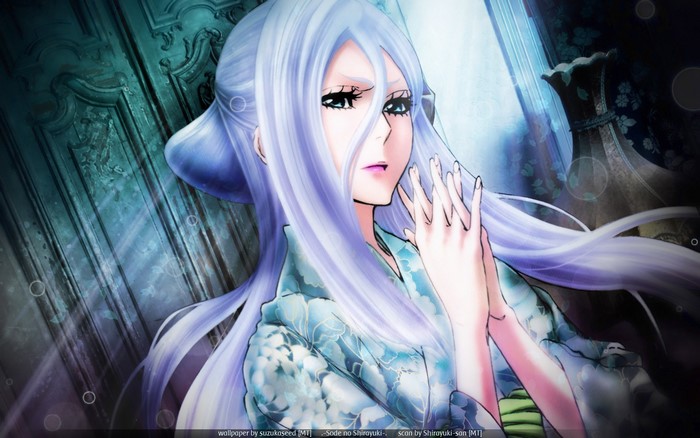 Shirayuki from Bleach: Memories of Nobody