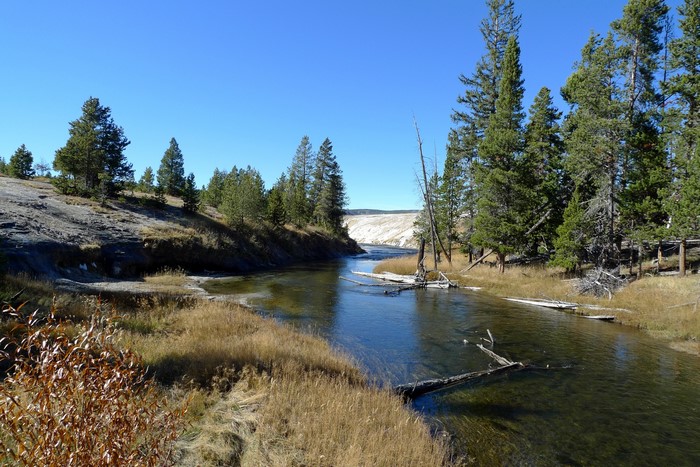 Yellowstone National Park River and Trees