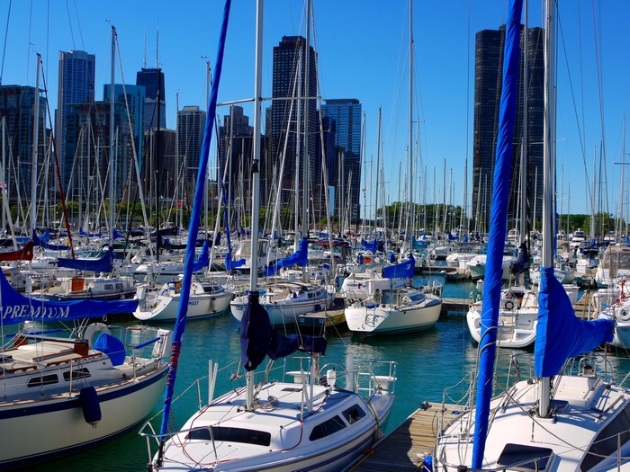 Sailboats docked in a harbor with city skyline