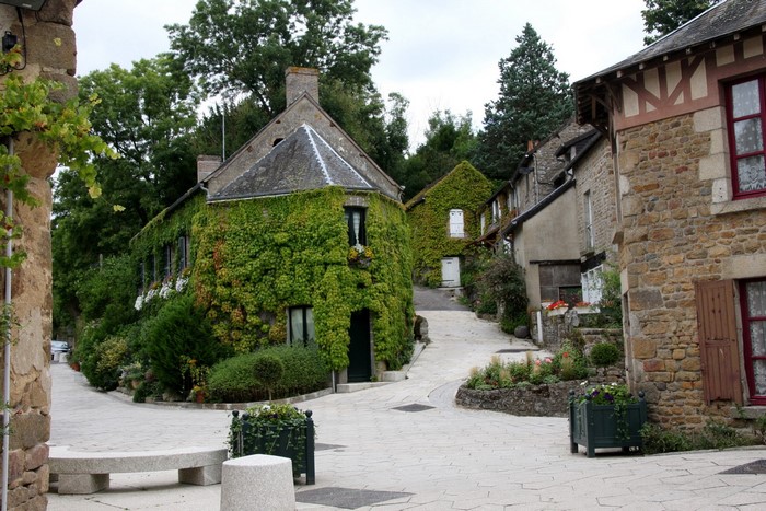 Ivy-covered houses on a cobblestone street in France