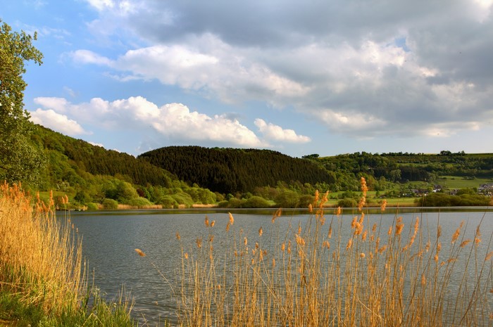 Lake with reeds and forested hills under cloudy sky