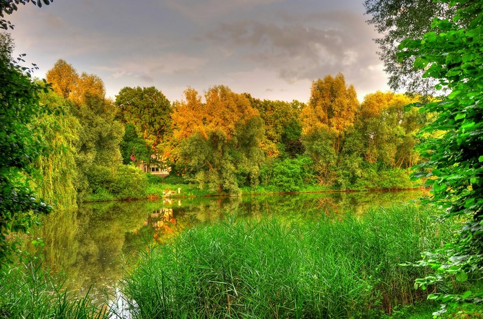 Lake and trees in Hamburg, Germany