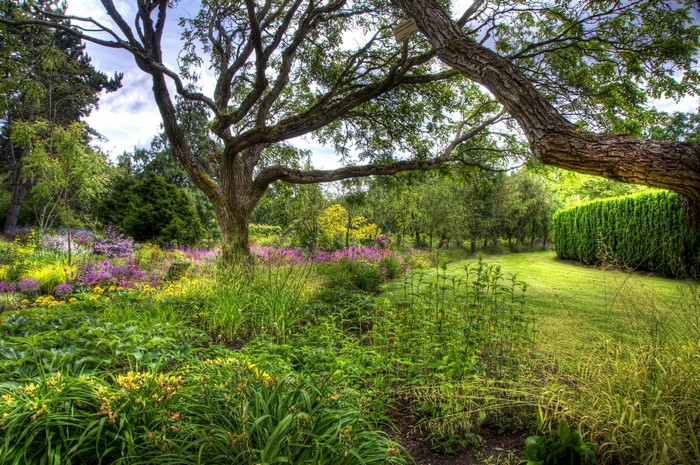 A beautiful garden with blooming flowers and trees