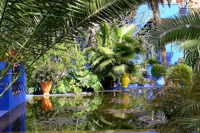 Marrakech Jardin Majorelle Vibrant Garden Pond
