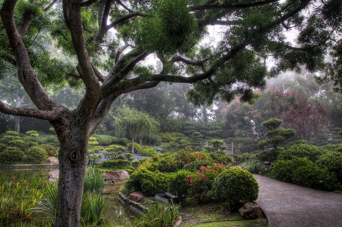 Earl Burns Miller Japanese Garden in California, USA