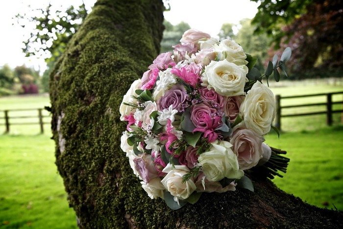 Bouquet of roses on a mossy tree trunk