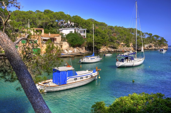 Boats docked in a bay with houses and trees