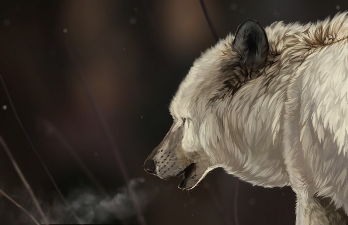 Wolf exhaling steam in a dark forest