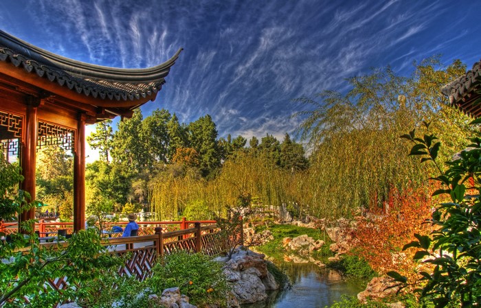 Chinese Garden with Pavilion and Willow Trees