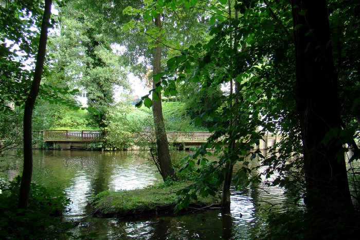 Wooden bridges over a calm river surrounded by trees