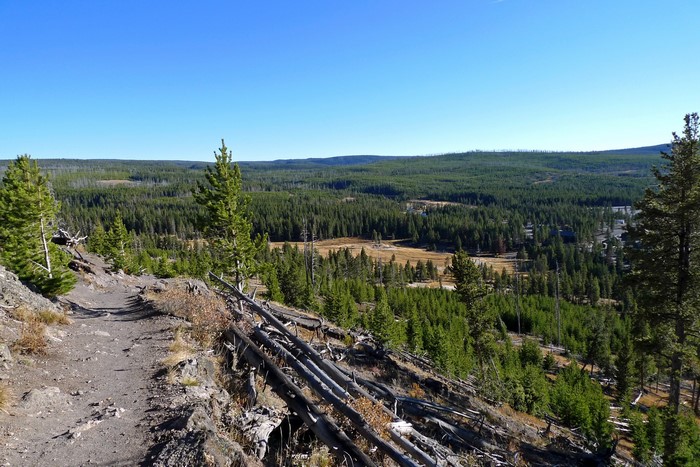 Yellowstone National Park Landscape