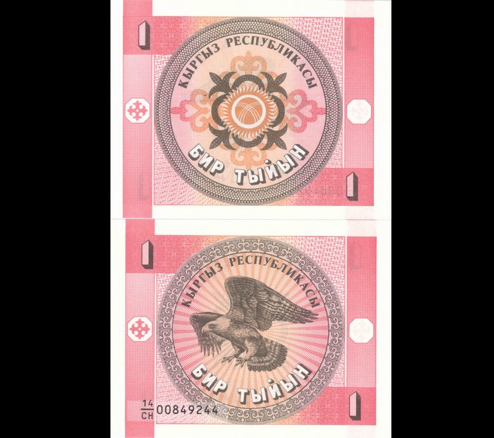Kyrgyzstan 1 Tyn Banknotes