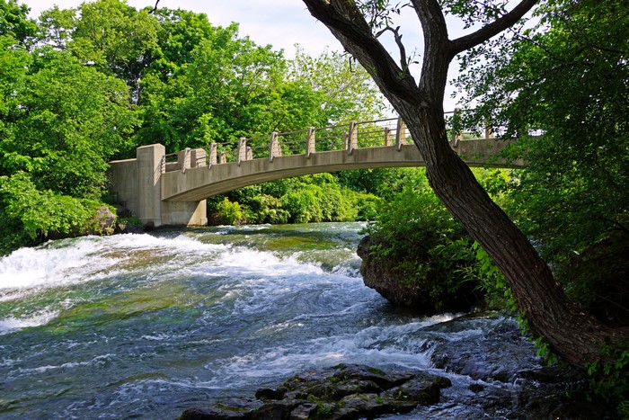 Bridge over a flowing river surrounded by trees