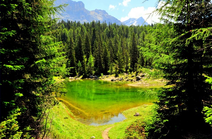 Green mountain lake surrounded by pine forest