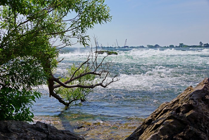 Rushing River with Trees and Cranes in the Distance