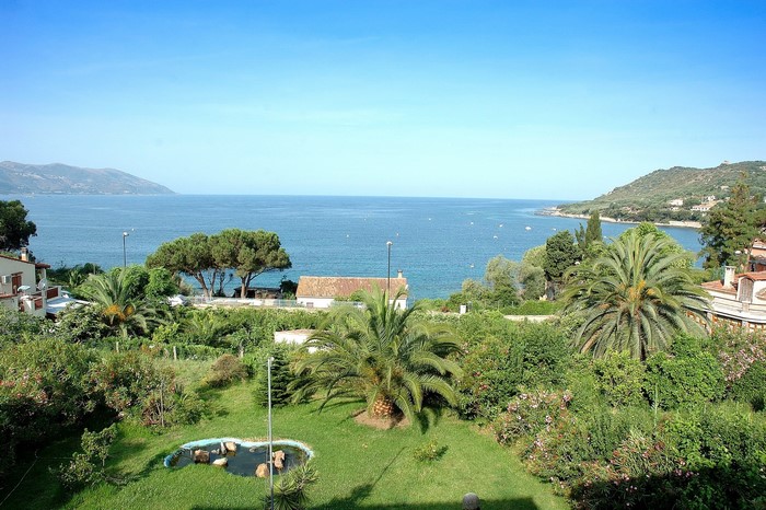 Coastal view with palm trees and houses