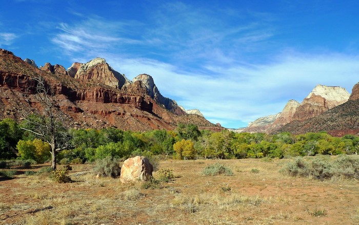 Zion National Park Landscape with Red Rock Mountains