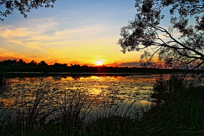 Sunset over a lake with lily pads and trees