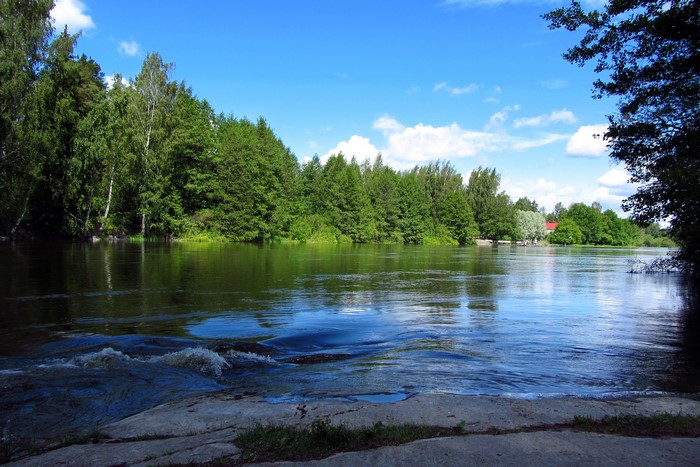 River flowing through a forest under a blue sky