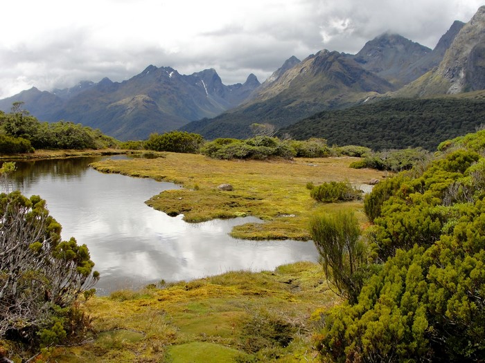 Mountain lake with alpine vegetation and peaks