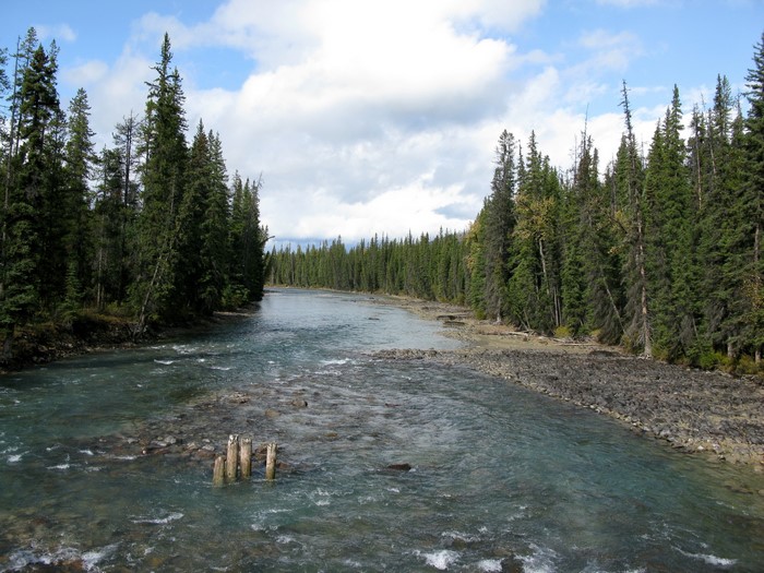 Whirlpool River in Jasper Park, Canada