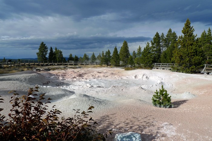 Mud pots and trees in Yellowstone National Park