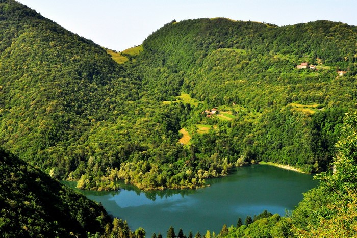 Lake surrounded by green forested mountains