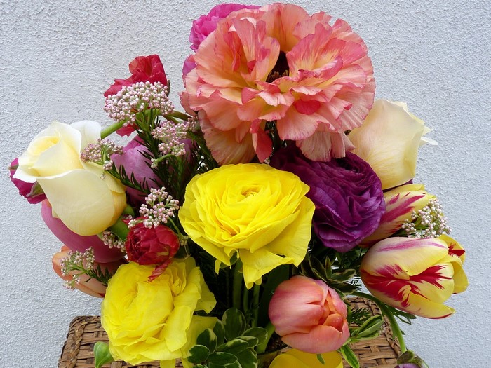 Colorful bouquet of ranunculus and tulips