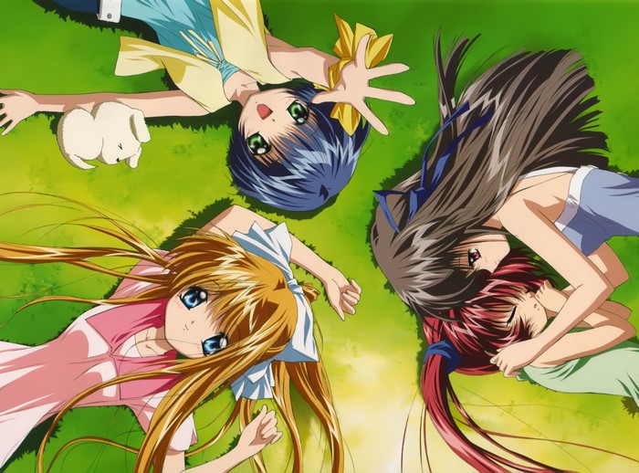 Four girls and a dog lying on grass