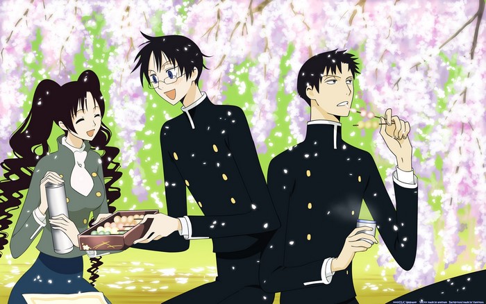xxxHOLiC: Watanuki, Doumeki, and Himawari under cherry blossoms
