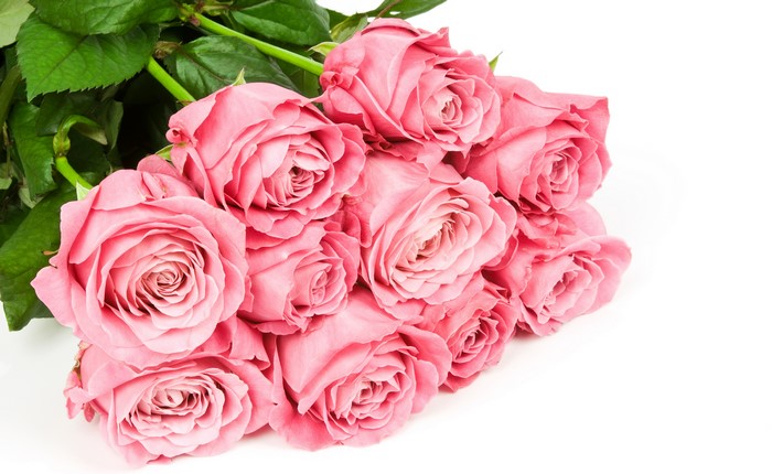 Pink Roses Bouquet