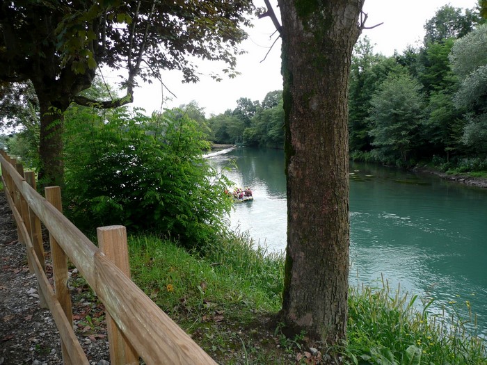 People in a boat on a river with trees