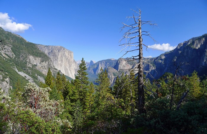 Yosemite National Park, California, USA