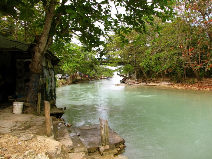 River flowing through a tropical landscape in Jamaica