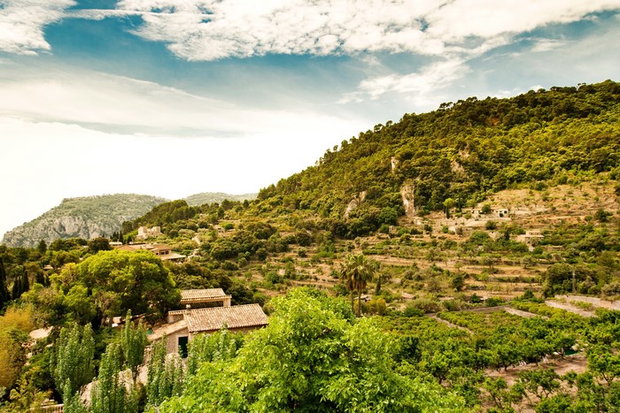 Terraced hillside with houses and trees in Majorca, Spain