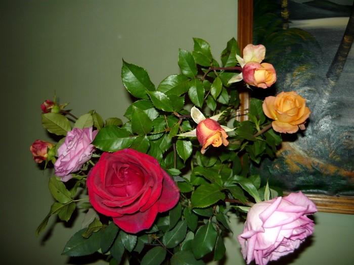 Roses in a vase