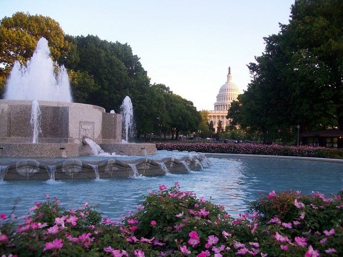 Fountain with US Capitol Building in Washington D.C.