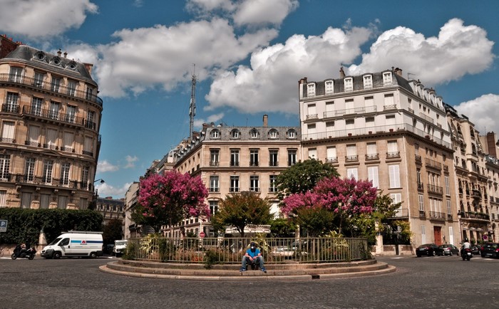 Parisian street with buildings and trees