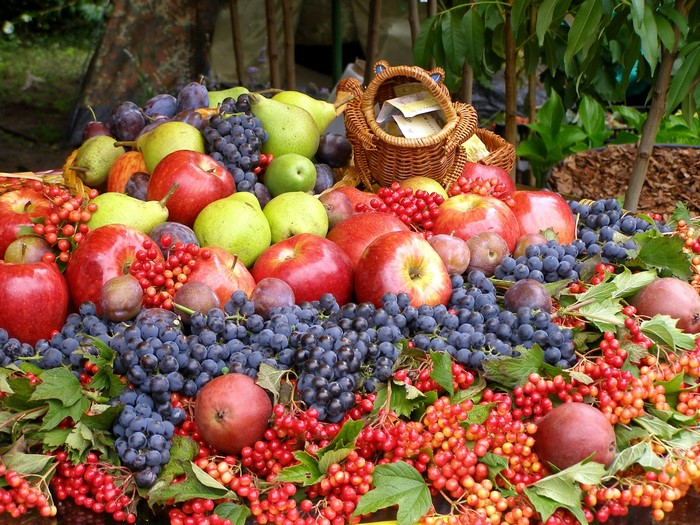 Abundant harvest of fruits and berries