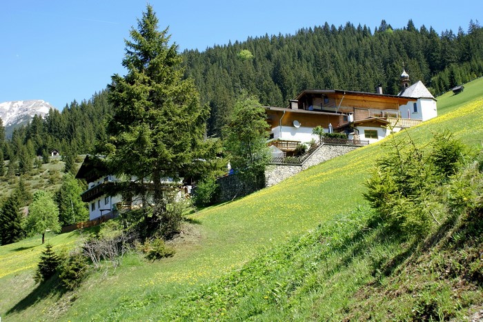Houses on a grassy slope in Austria