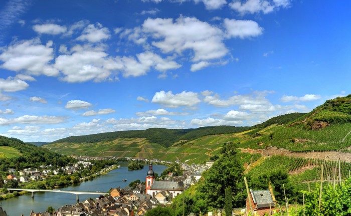 Germany landscape with river and vineyards