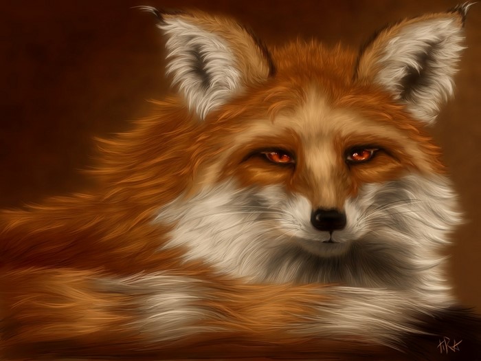Close-up portrait of a red fox