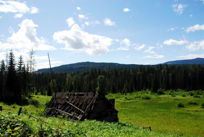 Abandoned cabin in Wells Gray Provincial Park, Canada