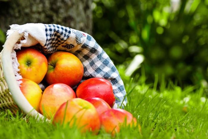 Apples in a basket on grass