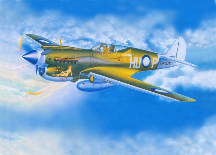 Curtiss P-40N "Lucky" airplane painting