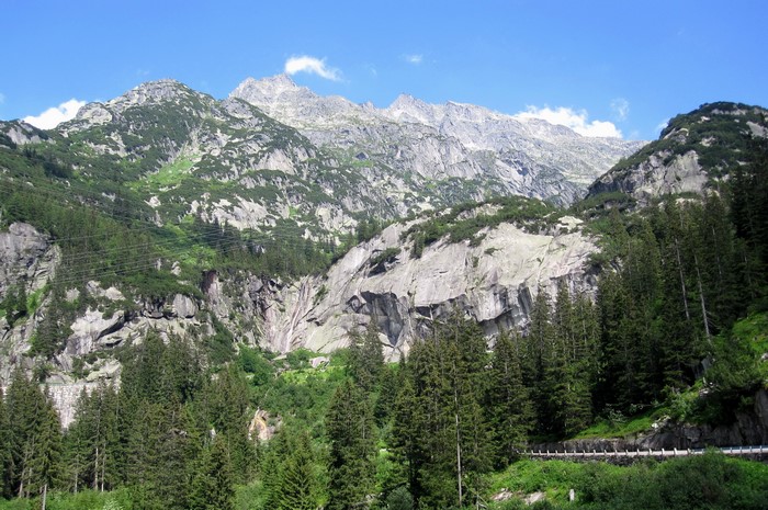Mountains and forest in Switzerland