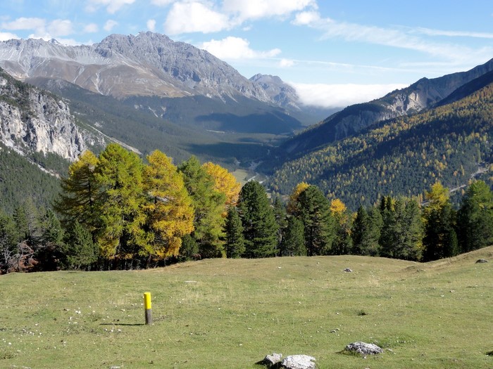 Swiss National Park valley with mountains and autumn trees